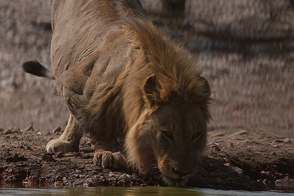 Ongava Private Reserve