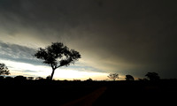 Sunset - Sabi Sand