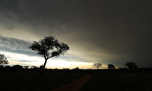 Sunset - Sabi Sand