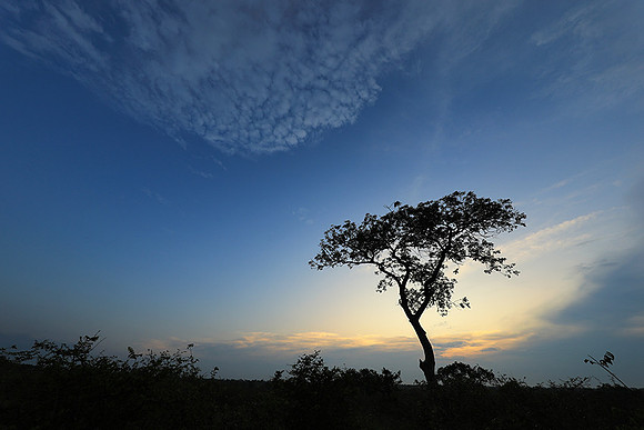 Sunset - Lion Sands