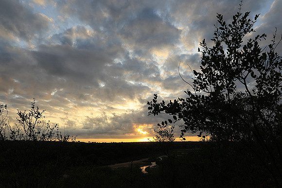 Sunrise - MalaMala
