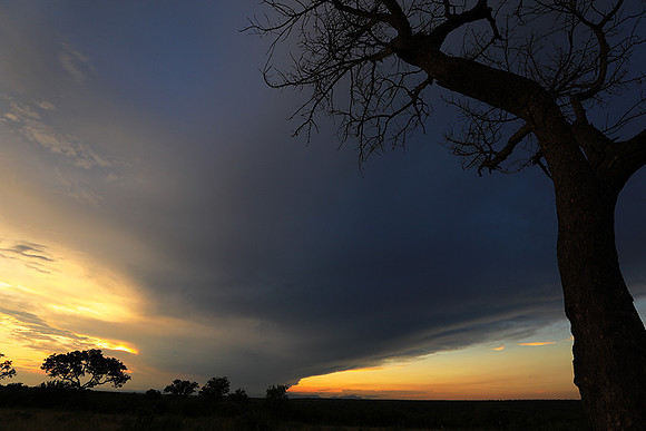 Sunset - Londolozi game reserve