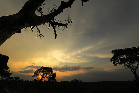 Sunset - Lion Sands