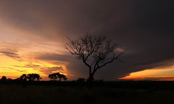 Sunset - Londolozi game reserve