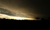 Sunset - Sabi Sand