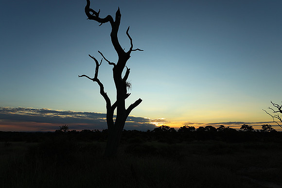 Sunset at Mala Mala