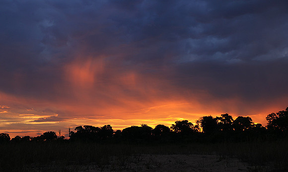 sunset - MalaMala