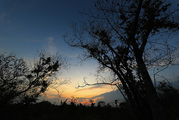 sunset - MalaMala