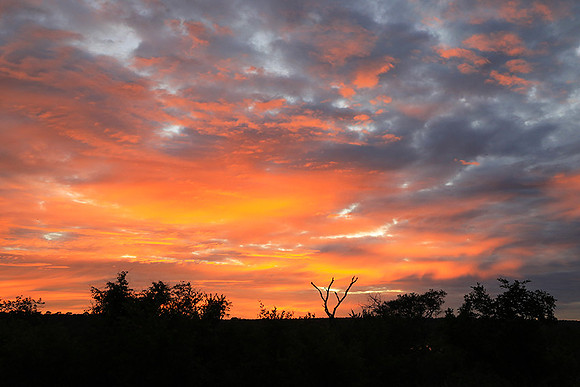 Sunset at Mala Mala