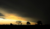 Sunset - Sabi Sand