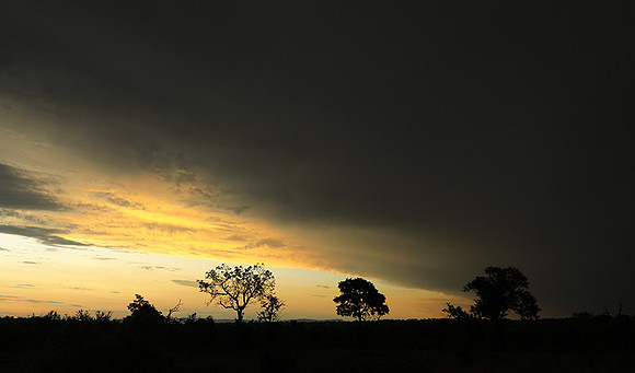 Sunset - Sabi Sand