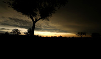 Sunset - Sabi Sand