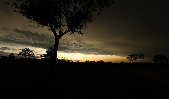 Sunset - Sabi Sand