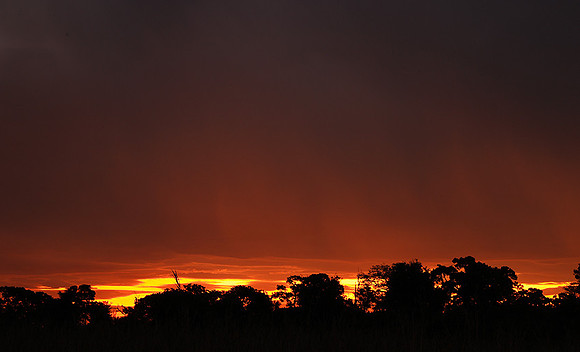 sunset - MalaMala