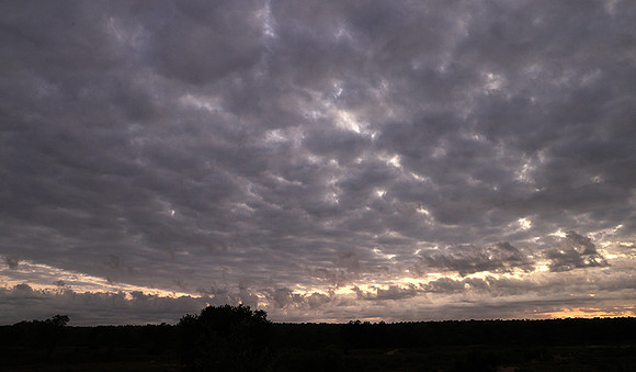 Sunrise - MalaMala
