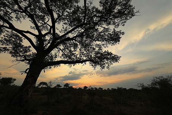 Sunset - Lion Sands
