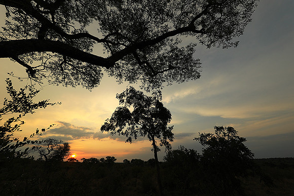 Sunset - Lion Sands