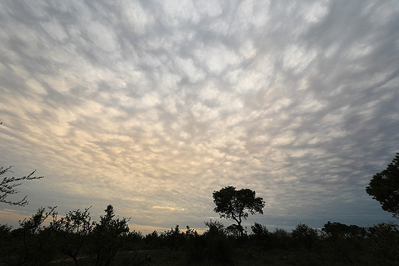 Sunset - Lion Sands