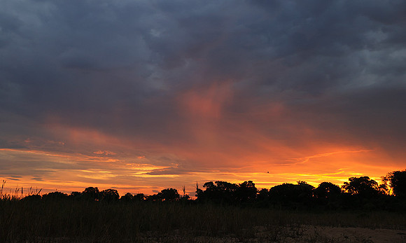 sunset - MalaMala