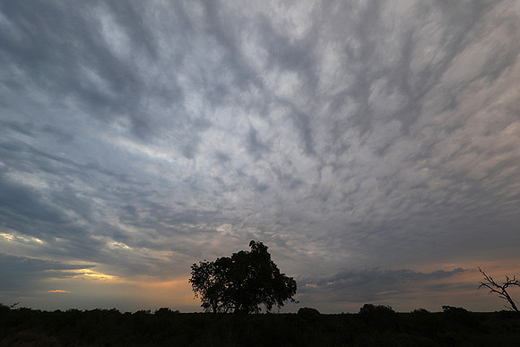 Sunset - Lion Sands