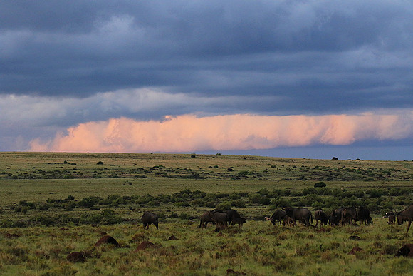 Sunset at Tiger Canyon - Karoo