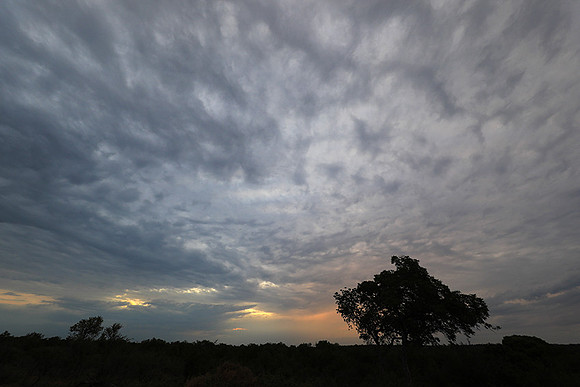 Sunset - Lion Sands