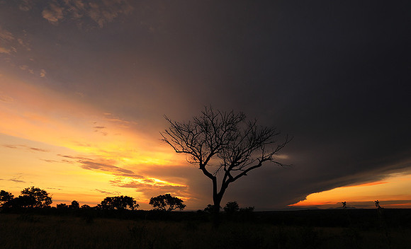 Sunset - Londolozi game reserve