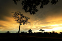 Sunset - Sabi Sand