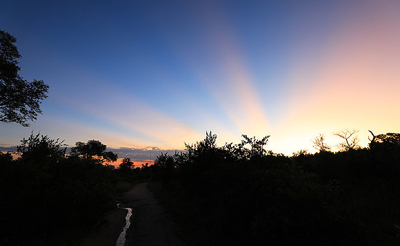 Sunset at Mala Mala