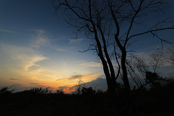 sunset - MalaMala