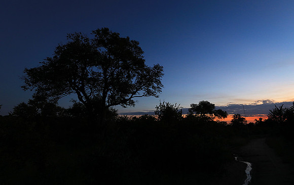 Sunset at Mala Mala