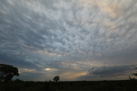 Sunset - Lion Sands