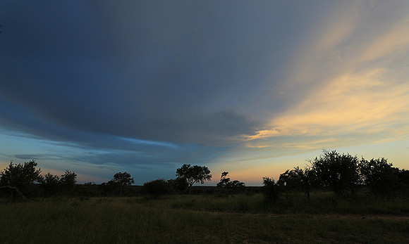 Sunset - Londolozi game reserve