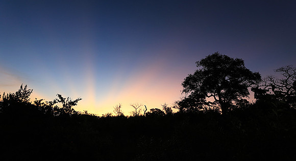 Sunset at Mala Mala