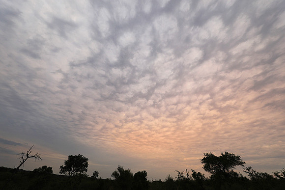 Sunset - Lion Sands