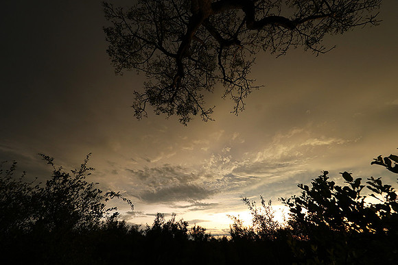 Sunset - Sabi Sand