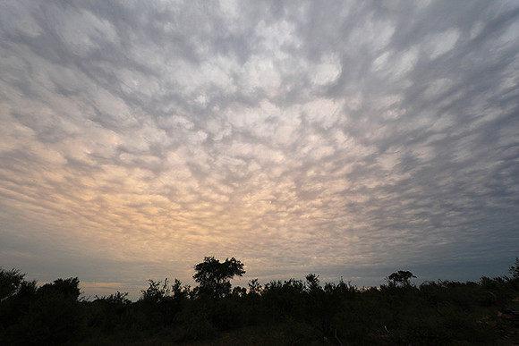 Sunset - Lion Sands