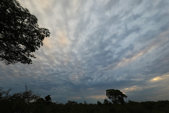 Sunset - Lion Sands