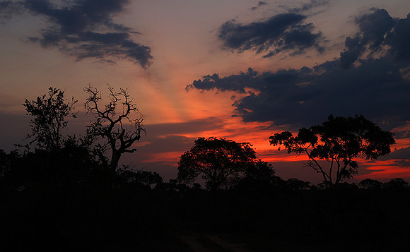 Sunset - Lion Sands