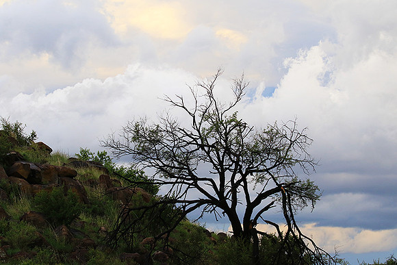 Sunset at Tiger Canyon - Karoo