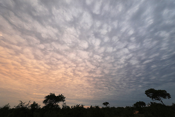 Sunset - Lion Sands