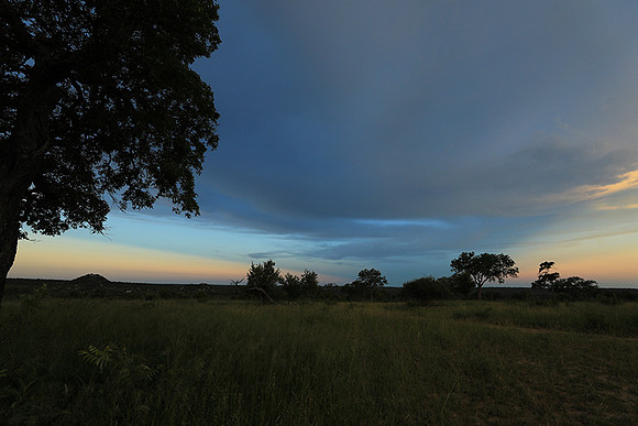 Sunset - Londolozi game reserve