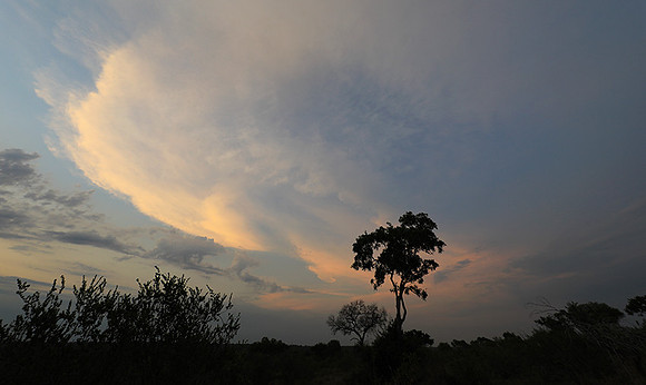 Sunset - Lion Sands