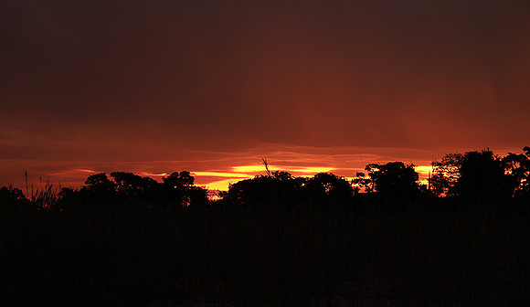 sunset - MalaMala