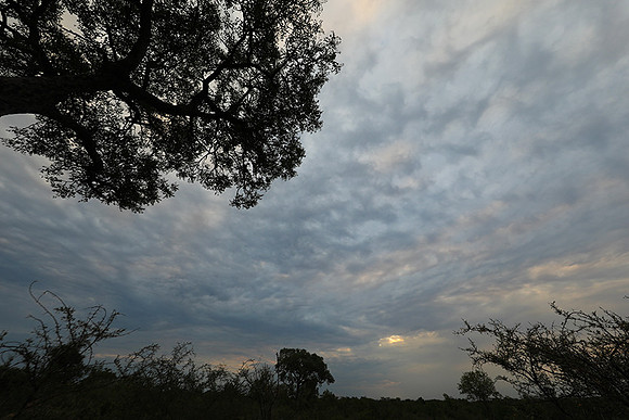 Sunset - Lion Sands