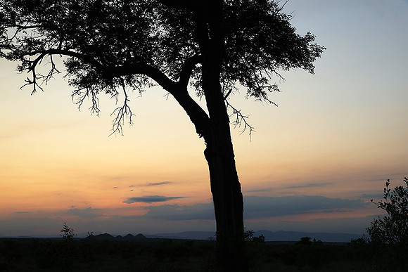 Sunset - Sabi Sand