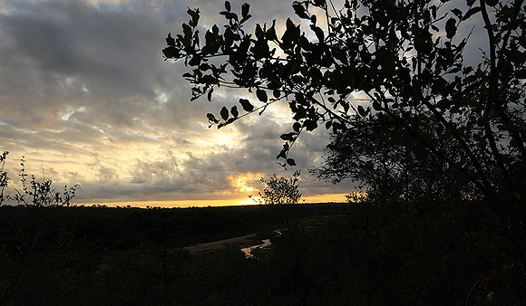 Sunrise - MalaMala