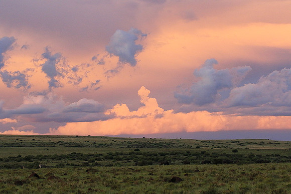 Sunset at Tiger Canyon - Karoo