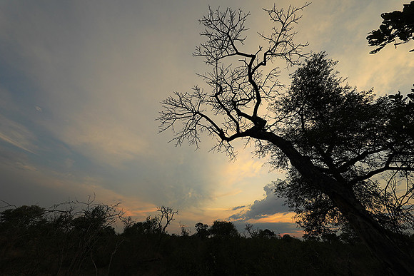Sunset - Lion Sands