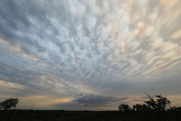 Sunset - Lion Sands